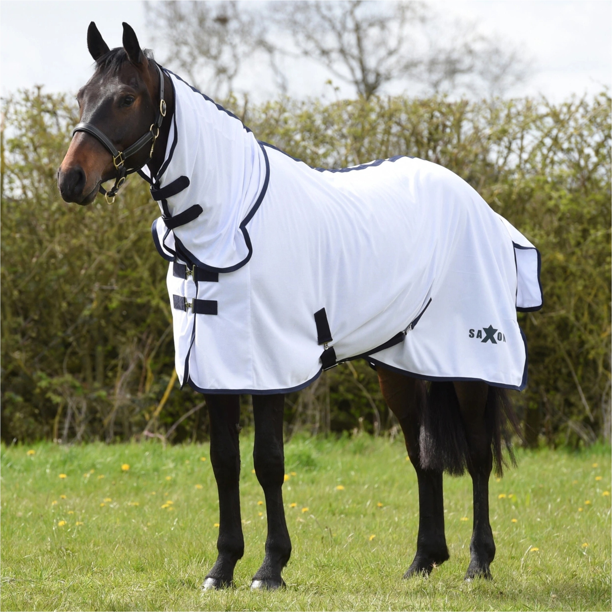 Saxon Mesh Kombi Hals Fliegen Schutzteppich 10029420 - White / Navy